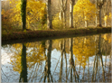 canal de Garonne en automne